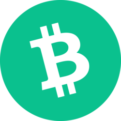 bitcoin-cash 로고